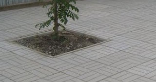 Качественная тротуарная плитка серого цвета в Сосновом Боре в октябре